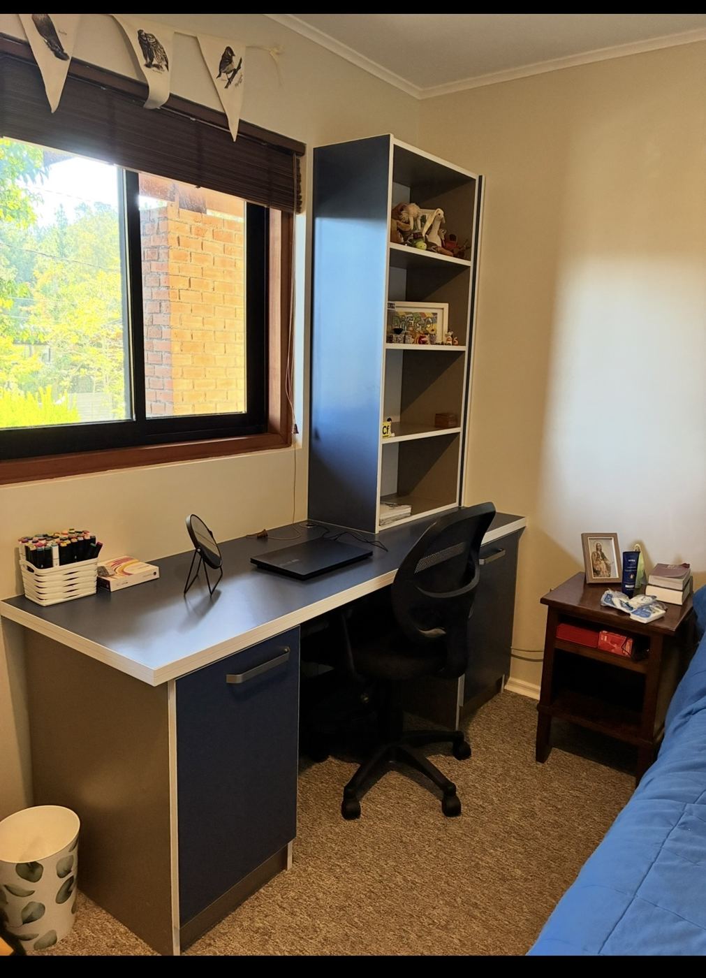 Escritorio con biblioteca en dormitorio